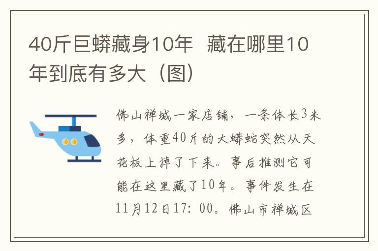 40斤巨蟒藏身10年  藏在哪里10年到底有多大（图）