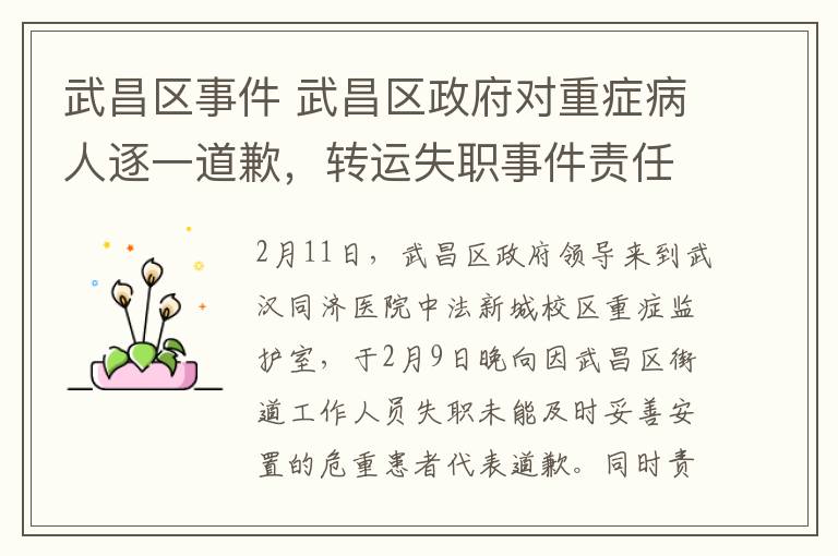 武昌区事件 武昌区政府对重症病人逐一道歉，转运失职事件责任人被严肃处理