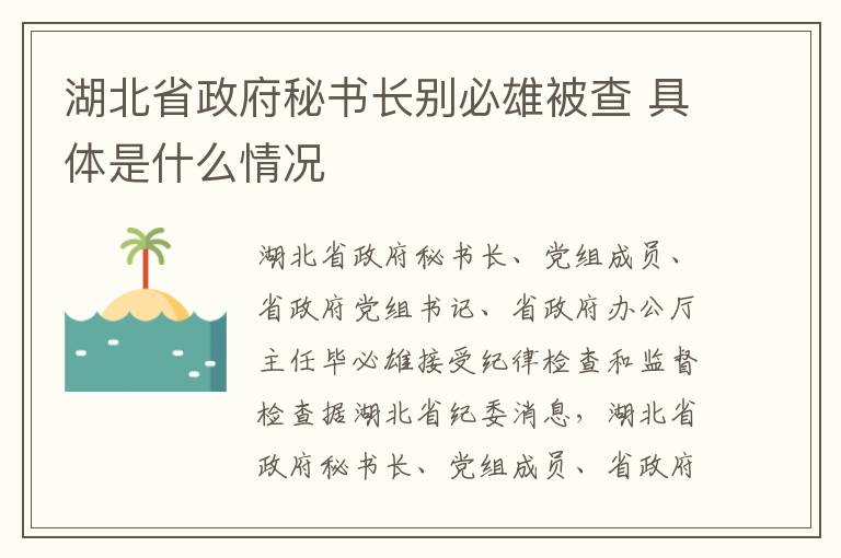 湖北省政府秘书长别必雄被查 具体是什么情况