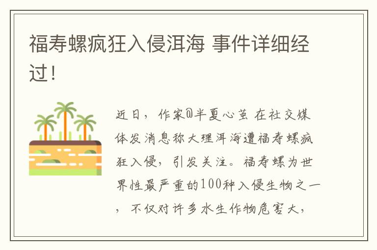 福寿螺疯狂入侵洱海 事件详细经过！