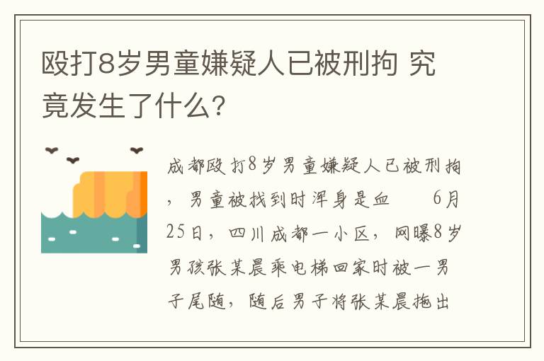 殴打8岁男童嫌疑人已被刑拘 究竟发生了什么?