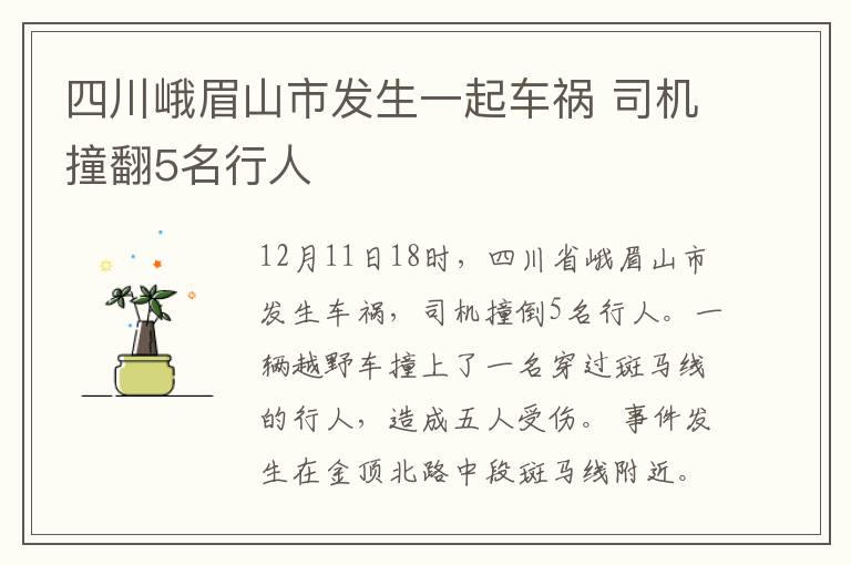 四川峨眉山市发生一起车祸 司机撞翻5名行人