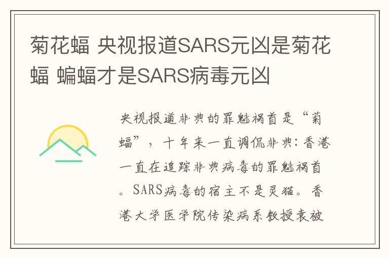 菊花蝠 央视报道SARS元凶是菊花蝠 蝙蝠才是SARS病毒元凶
