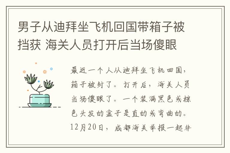 男子从迪拜坐飞机回国带箱子被挡获 海关人员打开后当场傻眼