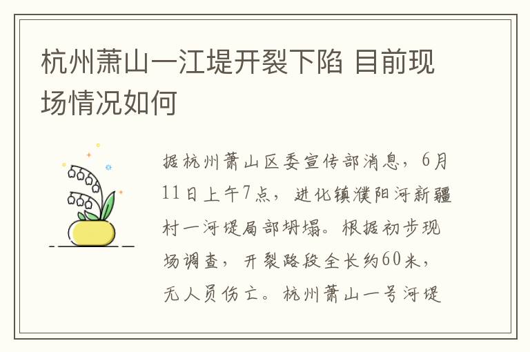 杭州萧山一江堤开裂下陷 目前现场情况如何