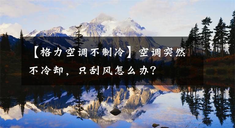 【格力空调不制冷】空调突然不冷却，只刮风怎么办？