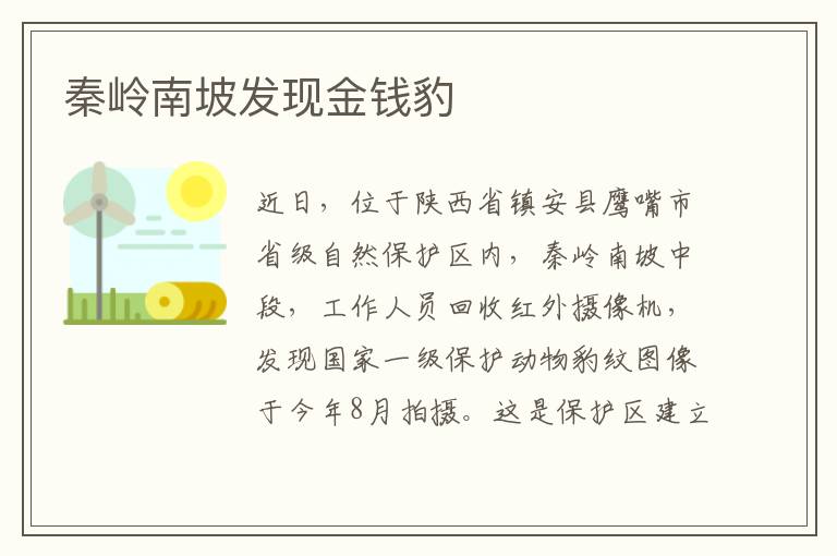 秦岭南坡发现金钱豹