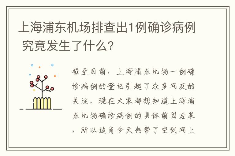 上海浦东机场排查出1例确诊病例 究竟发生了什么?