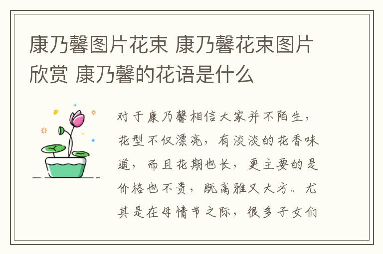 康乃馨图片花束 康乃馨花束图片欣赏 康乃馨的花语是什么