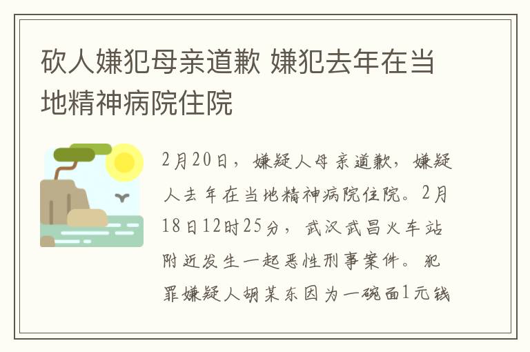 砍人嫌犯母亲道歉 嫌犯去年在当地精神病院住院