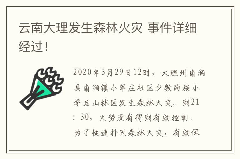 云南大理发生森林火灾 事件详细经过！