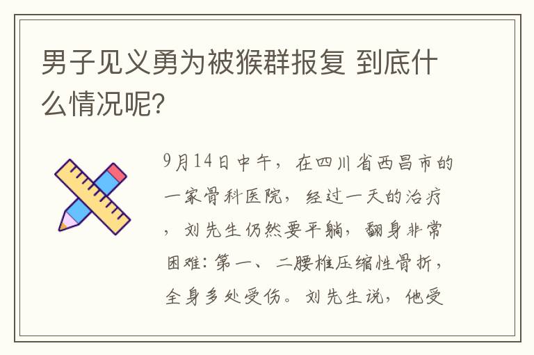 男子见义勇为被猴群报复 到底什么情况呢？