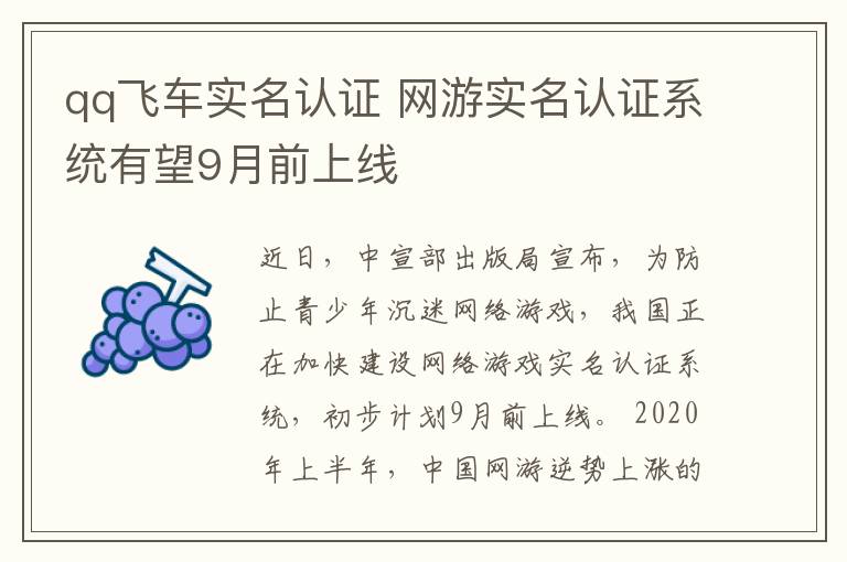 qq飞车实名认证 网游实名认证系统有望9月前上线