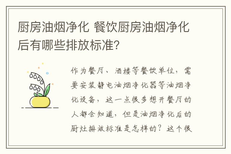 厨房油烟净化 餐饮厨房油烟净化后有哪些排放标准？