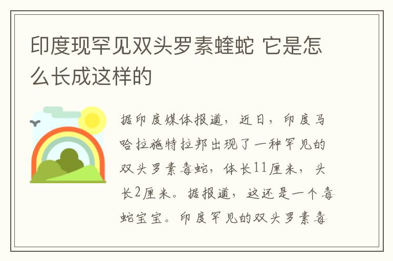 印度现罕见双头罗素蝰蛇 它是怎么长成这样的