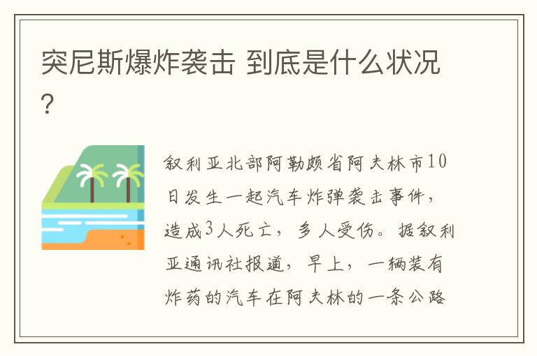 突尼斯爆炸袭击 到底是什么状况？