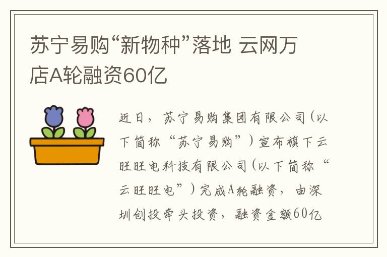 苏宁易购“新物种”落地 云网万店A轮融资60亿