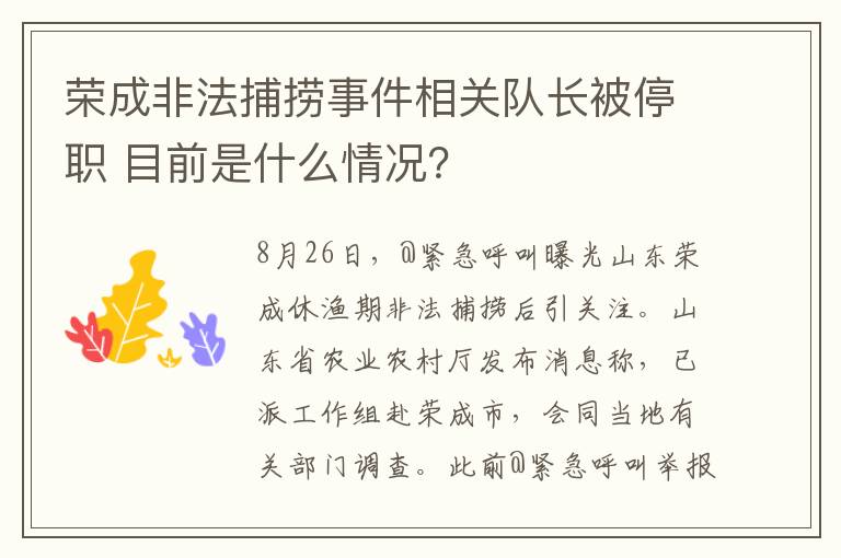 荣成非法捕捞事件相关队长被停职 目前是什么情况？