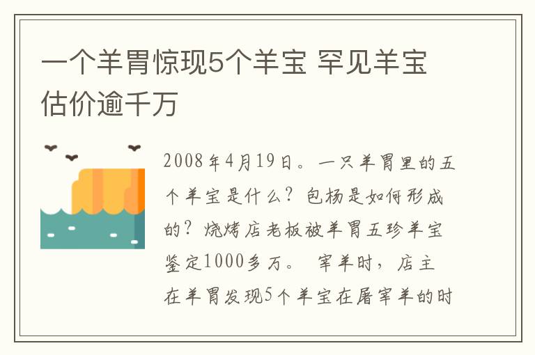 一个羊胃惊现5个羊宝 罕见羊宝估价逾千万