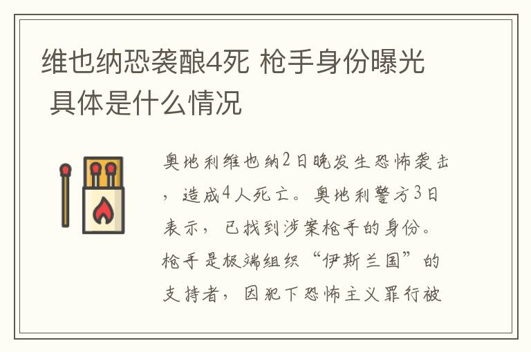 维也纳恐袭酿4死 枪手身份曝光 具体是什么情况