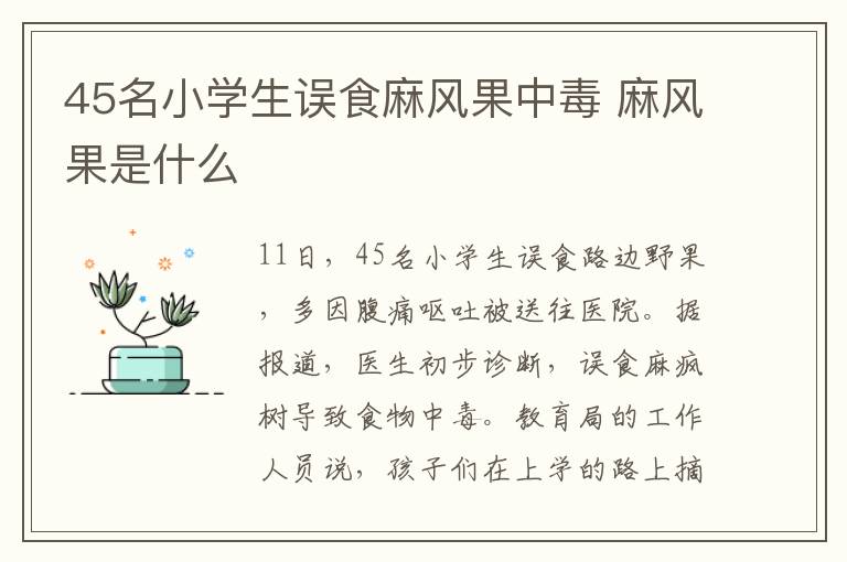 45名小学生误食麻风果中毒 麻风果是什么