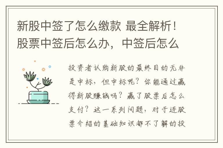 新股中签了怎么缴款 最全解析！股票中签后怎么办，中签后怎么缴款？