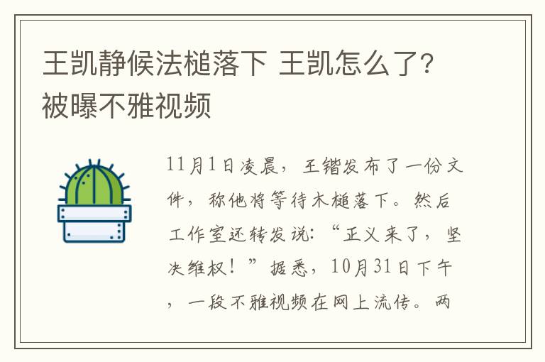 王凯静候法槌落下 王凯怎么了?被曝不雅视频