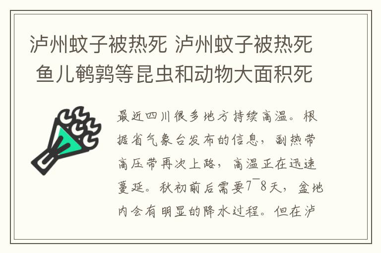 泸州蚊子被热死 泸州蚊子被热死 鱼儿鹌鹑等昆虫和动物大面积死亡