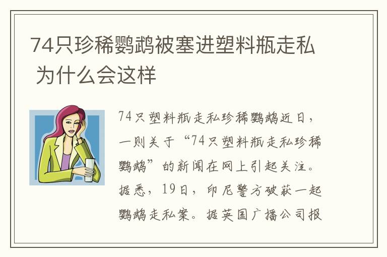 74只珍稀鹦鹉被塞进塑料瓶走私 为什么会这样