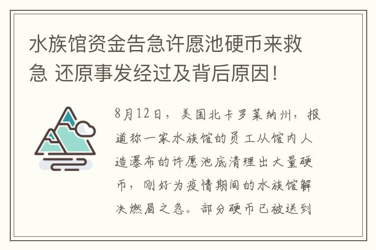 水族馆资金告急许愿池硬币来救急 还原事发经过及背后原因！