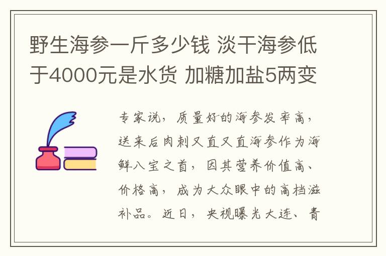 野生海参一斤多少钱 淡干海参低于4000元是水货 加糖加盐5两变一斤