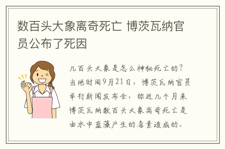 数百头大象离奇死亡 博茨瓦纳官员公布了死因