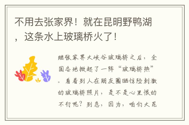 不用去张家界！就在昆明野鸭湖，这条水上玻璃桥火了！