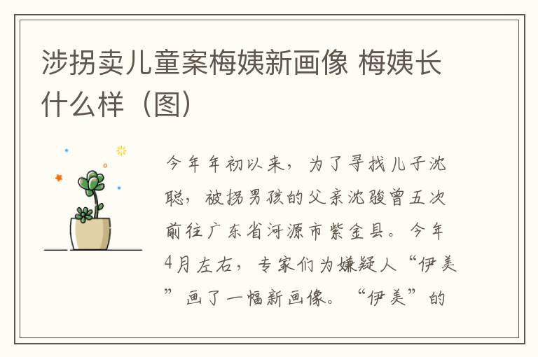 涉拐卖儿童案梅姨新画像 梅姨长什么样（图）