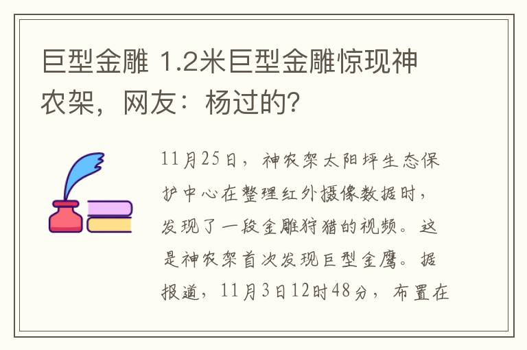 巨型金雕 1.2米巨型金雕惊现神农架，网友：杨过的？