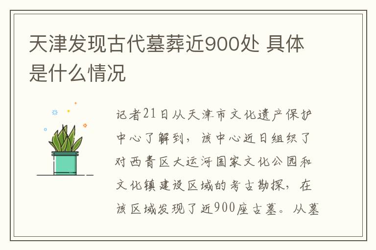 天津发现古代墓葬近900处 具体是什么情况