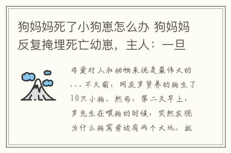 狗妈妈死了小狗崽怎么办 狗妈妈反复掩埋死亡幼崽，主人：一旦发现了，就会重新再埋…