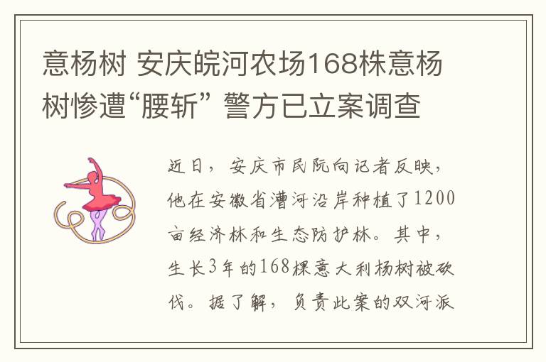 意杨树 安庆皖河农场168株意杨树惨遭“腰斩” 警方已立案调查