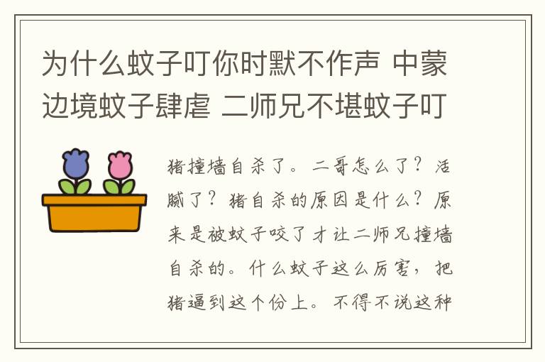 为什么蚊子叮你时默不作声 中蒙边境蚊子肆虐 二师兄不堪蚊子叮咬撞墙寻短见