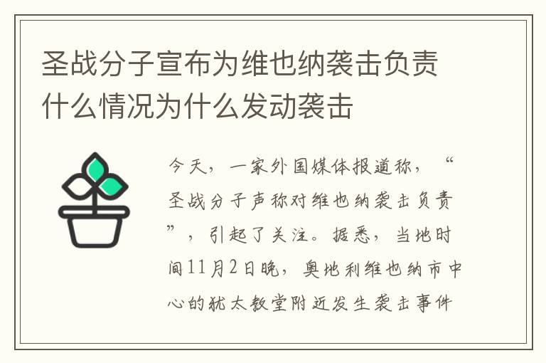 圣战分子宣布为维也纳袭击负责什么情况为什么发动袭击