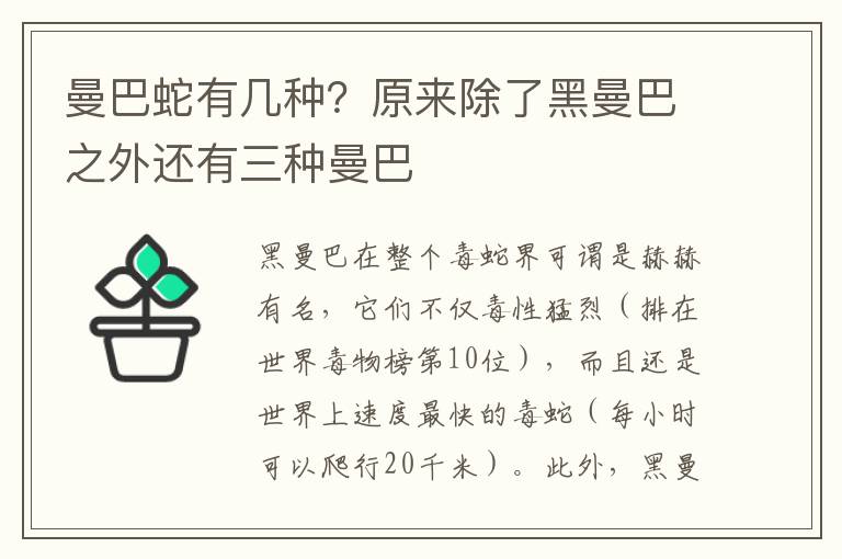 曼巴蛇有几种？原来除了黑曼巴之外还有三种曼巴