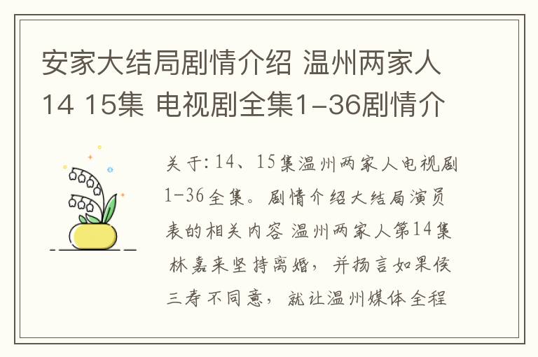 安家大结局剧情介绍 温州两家人14 15集 电视剧全集1-36剧情介绍大结局演员表