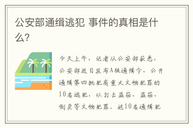 公安部通缉逃犯 事件的真相是什么？