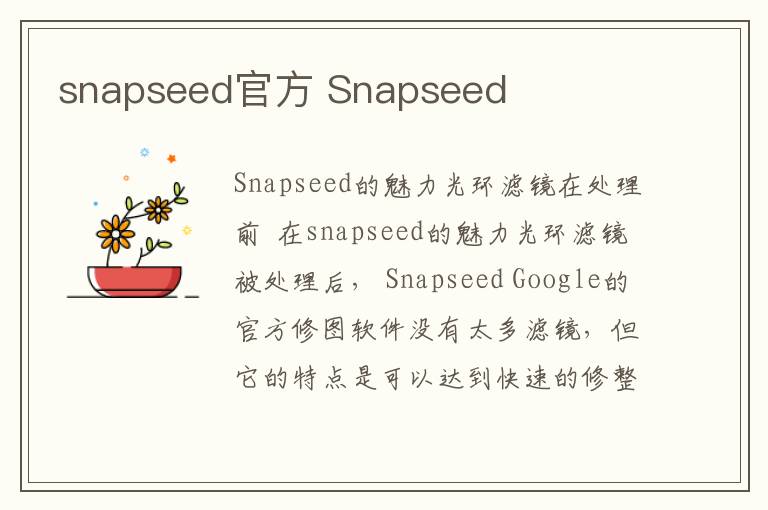 snapseed官方 Snapseed