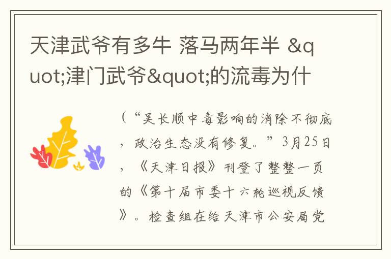 天津武爷有多牛 落马两年半 "津门武爷"的流毒为什么仍未肃清?