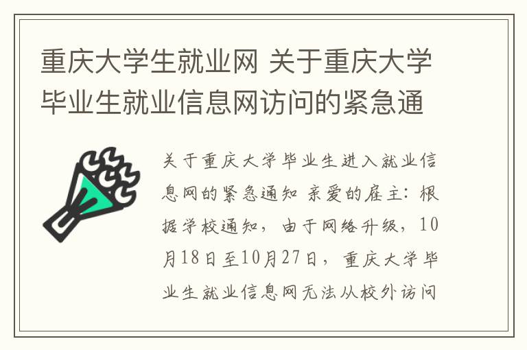 重庆大学生就业网 关于重庆大学毕业生就业信息网访问的紧急通知