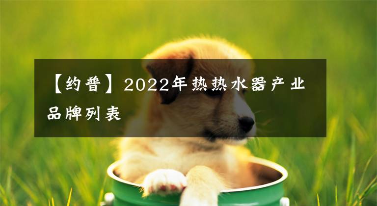 【约普】2022年热热水器产业品牌列表