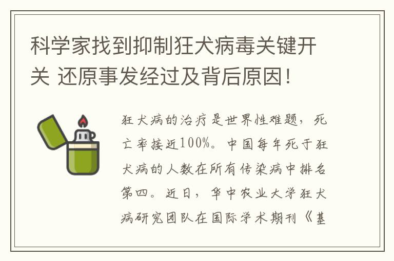 科学家找到抑制狂犬病毒关键开关 还原事发经过及背后原因！