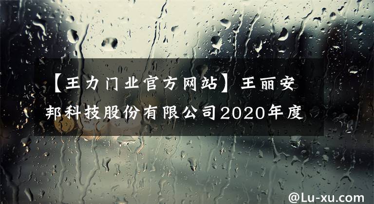 【王力门业官方网站】王丽安邦科技股份有限公司2020年度利润分配计划公告