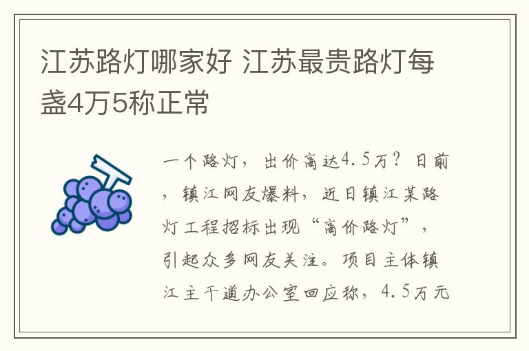 江苏路灯哪家好 江苏最贵路灯每盏4万5称正常